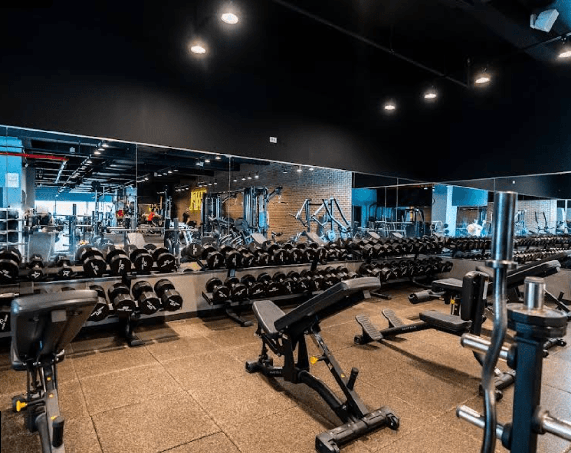 Gyms, studios & fitness clubs